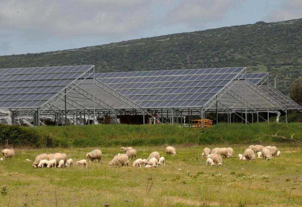 Accertamenti fiscali sulla Enervitabio 