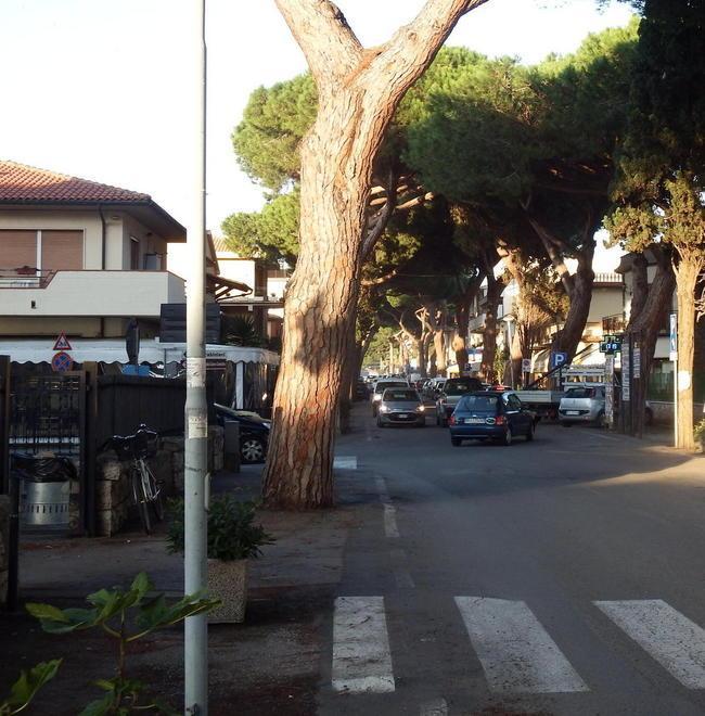 Gazebo di Albinia La giunta dà l’ok alla variante 