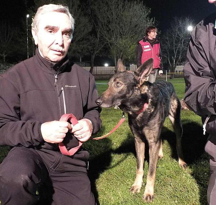 Il cane migliore amico dei disabili 