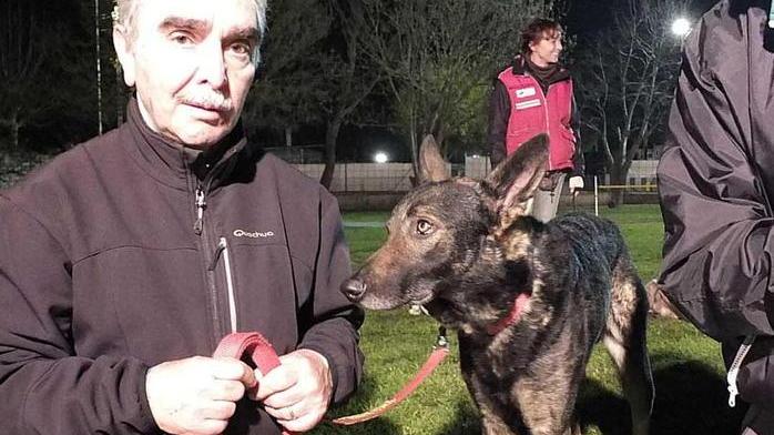 Il cane migliore amico dei disabili