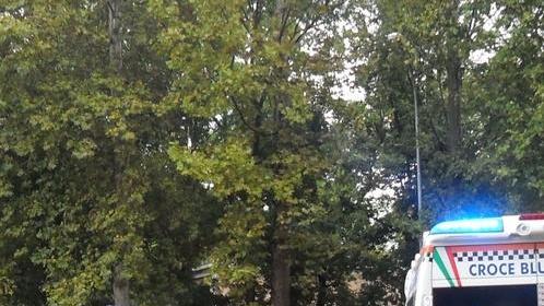 Anziana travolta sulle strisce pedonali