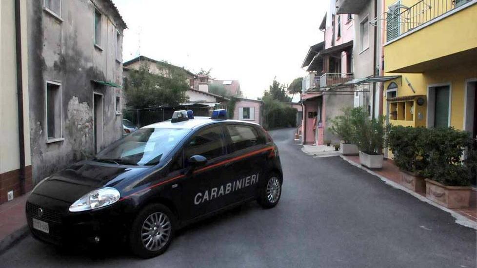 Coltiva marijuana in giardino arrestato un 38enne di Torre del Lago