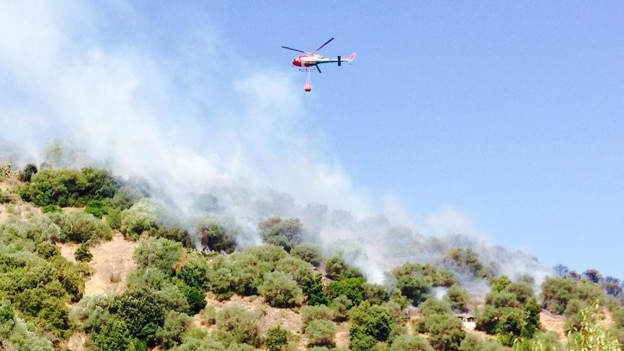 Bruciano boschi di lecci e sughere, elicotteri in azione