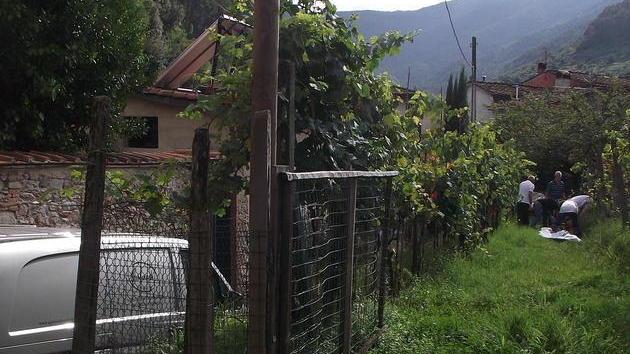 Lo trovano morto nella vigna
