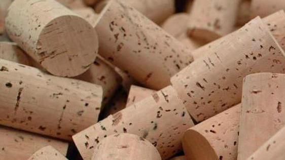 Sughero, serve un nuovo progetto