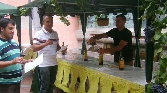 Dorgali, vini in mostra per la rassegna Sulcalis