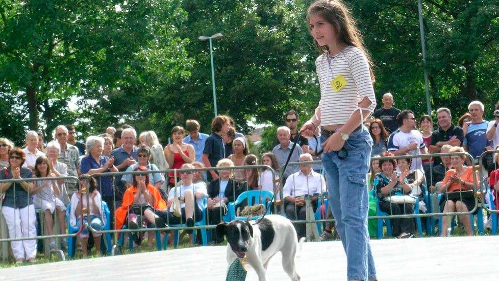 Si eleggono Miss e Mister Dog in piazza Mercatale