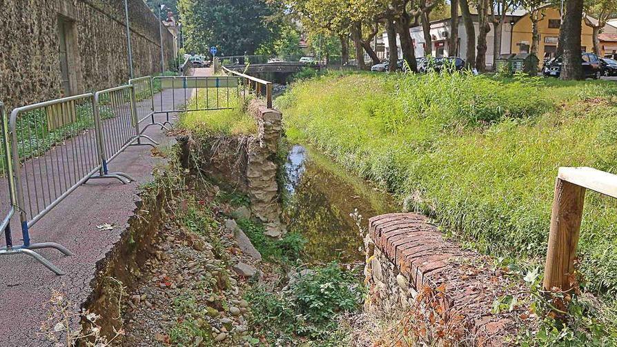 Tra frane ed erbacce, sos per la Brana