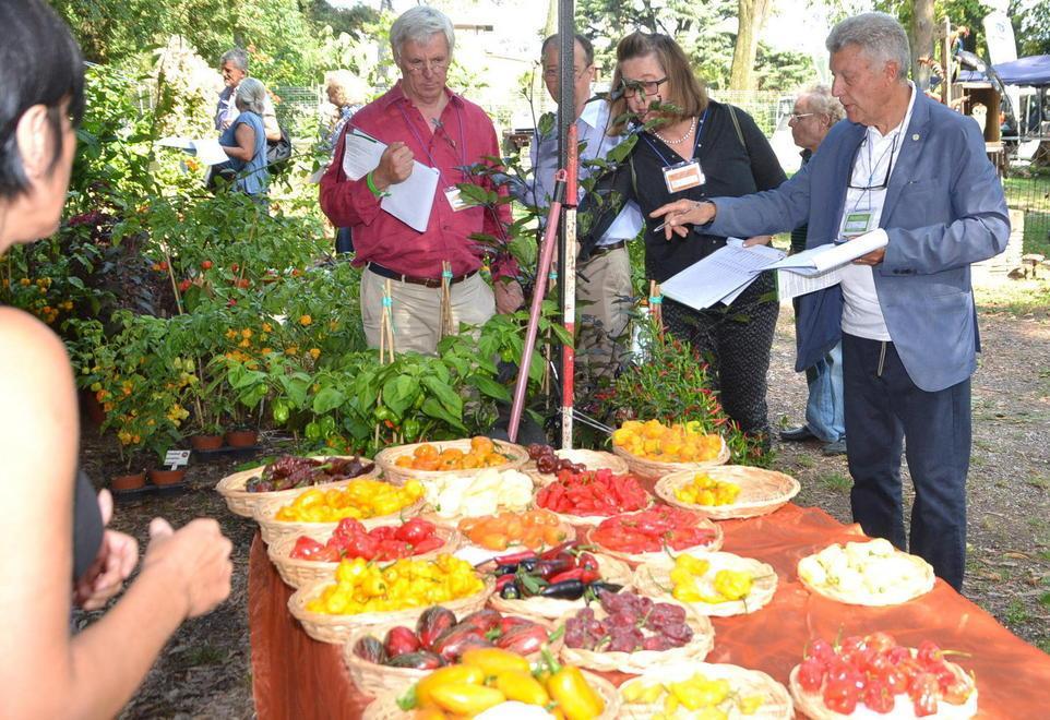 Murabilia, caccia al record di presenze tra gli stand 
