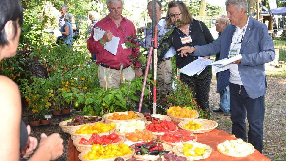 Murabilia, caccia al record di presenze tra gli stand