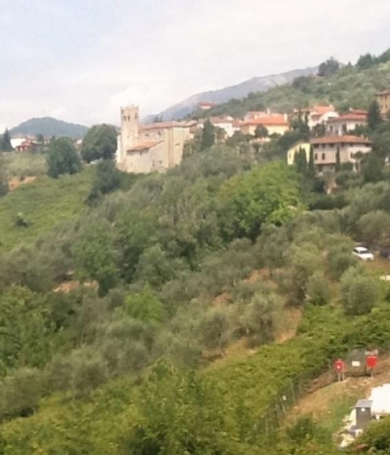 Si festeggia la Madonnina del Canale