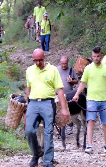 Trekking in cava a dorso di asini 