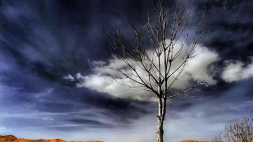 Le foto di Pintus, natura attraverso l’infrarosso