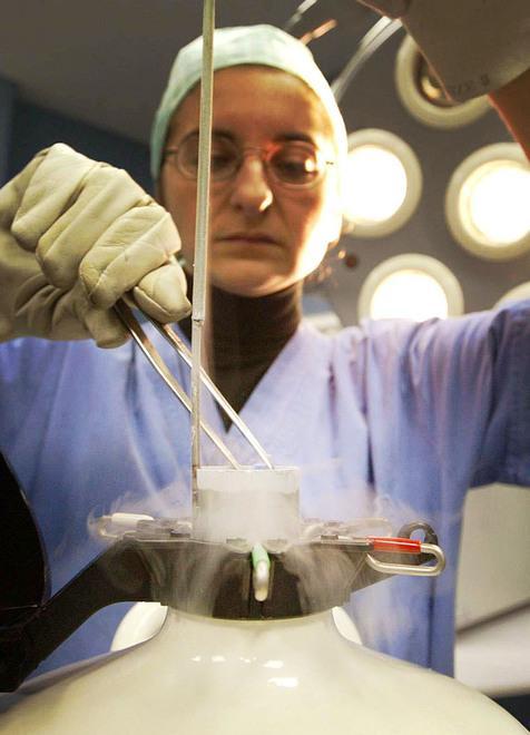Fecondazione eterologa da lunedì al Policlinico 