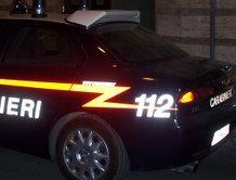 Farmaci sospetti destinati agli animali: denunciati due fratelli