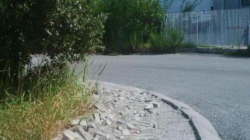 Le aziende accusano: l’area del Portone in stato di abbandono