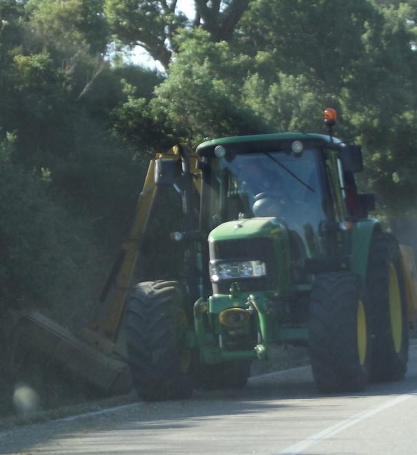 Cannas all’Anas: alt ai diserbanti ai bordi delle strade