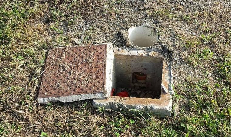 I 5Stelle denunciano il degrado nei parchi