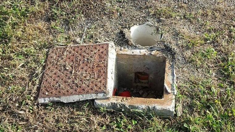 I 5Stelle denunciano il degrado nei parchi