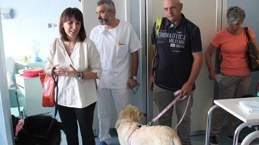 Tre cani portano il sorriso in oncologia