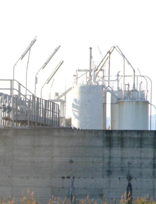 Depuratore bloccato i batteri aumentano