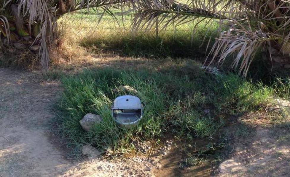 Perdita d’acqua dall’abbeveratoio dei cani