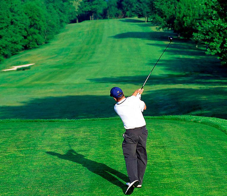 Golf, la Vas non è necessaria 