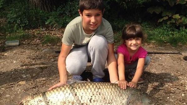 Catturata nel Cavo una carpa di 15 kg