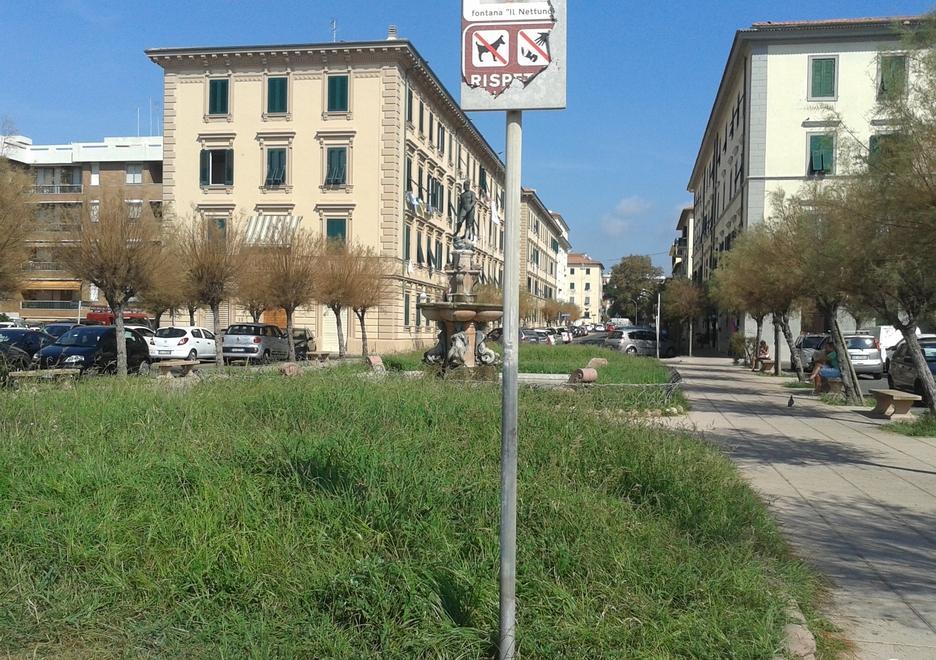 Nelle aiuole è cresciuta la giungla