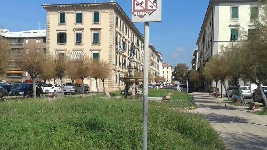 Nelle aiuole è cresciuta la giungla