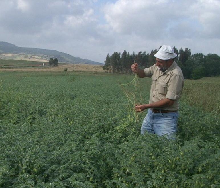 Pac, fondi ridotti del 25 per cento 