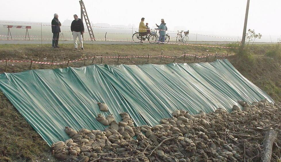 Grave una ciclista di 49 anni urtata da un trattore 