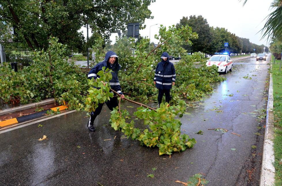 Maltempo, albero cade davanti al pronto soccorso e blocca  l'accesso