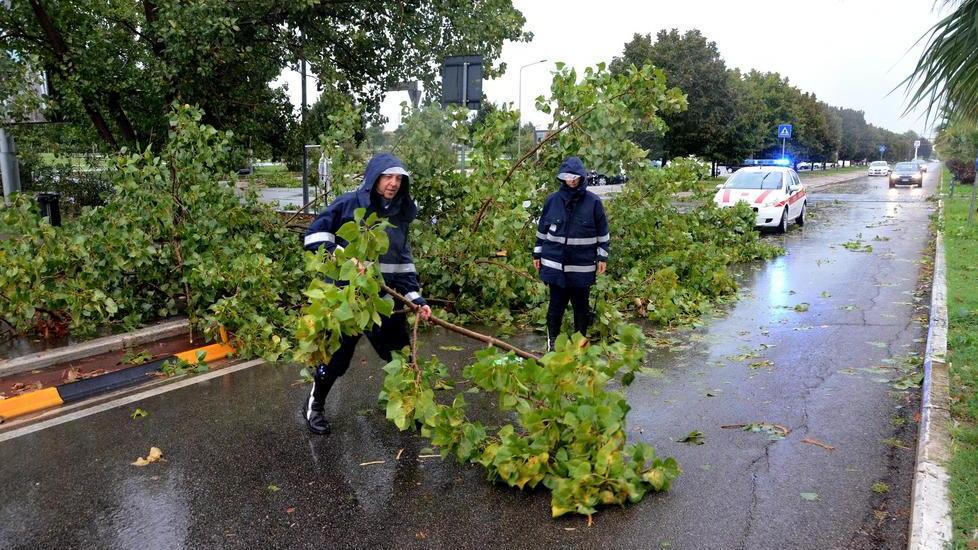 Maltempo, albero cade davanti al pronto soccorso e blocca l'accesso