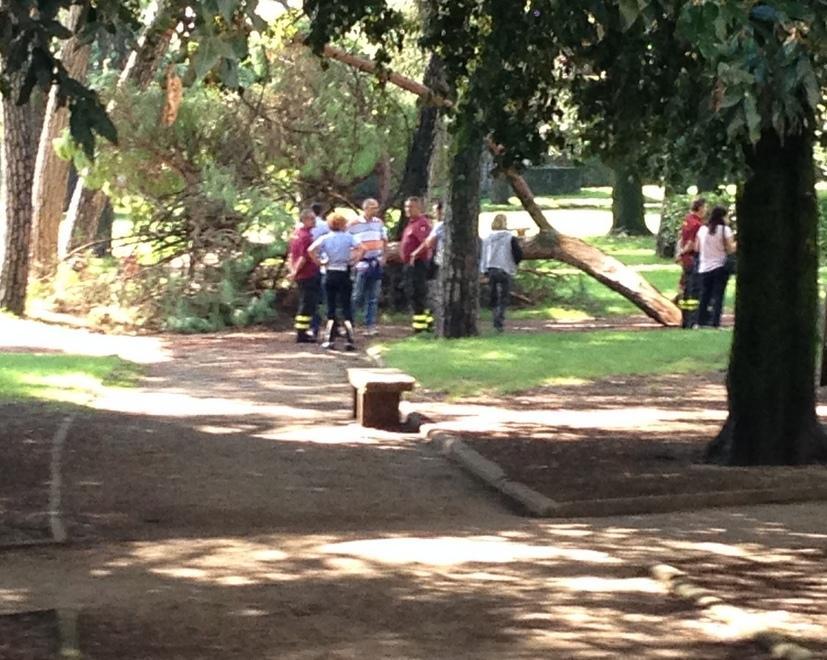 Cade un grosso ramo, paura in piazza dalla Resistenza. Il sindaco decide per la chiusura 