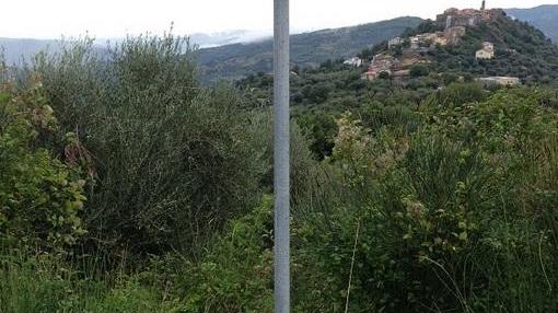 Spunta la tigre a guardia di Montegiovi