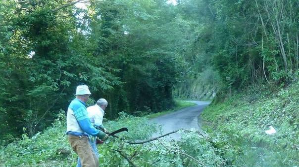 I cittadini puliscono il bosco a Rio dell’Ospedaletto