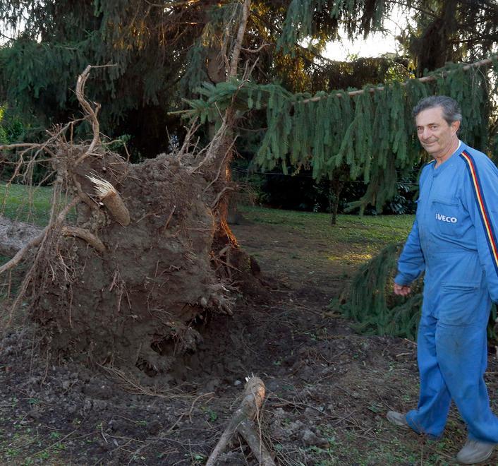 Tempesta, allagamenti e alberi divelti 
