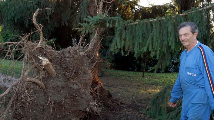 Tempesta, allagamenti e alberi divelti