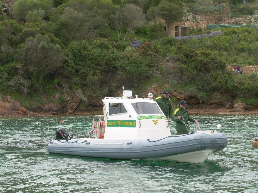 Pesca illegale, la forestale sequestra reti e arselle a Santa Gilla 