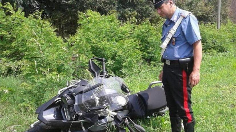 Rimessaggio di moto rubate nel bosco a Quercianella