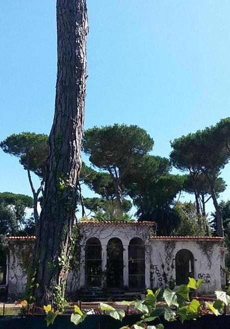 Nuova vita per l’antico zoo di Forte dei Marmi 