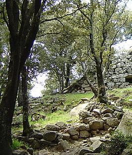 Sfida a sei con le “Ogliastriadi” 