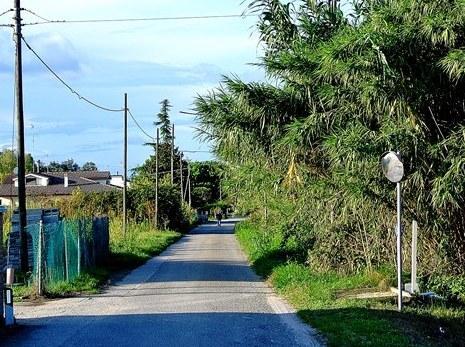 «Questa strada è stata dimenticata» 