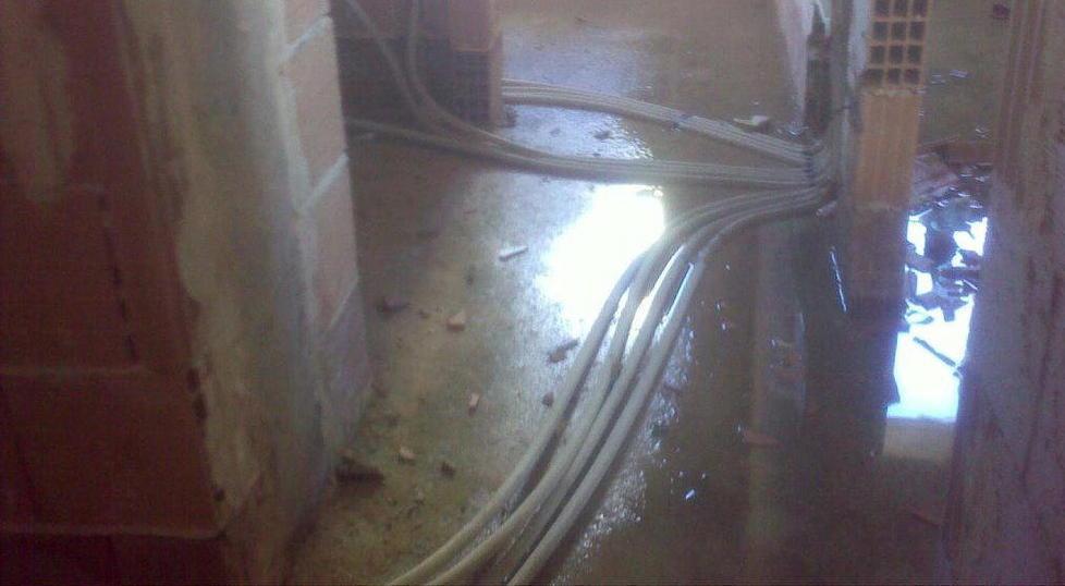 Nuovo mercato ittico: escrementi, giacigli e acqua ovunque 