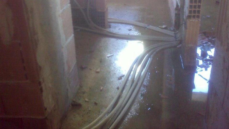 Nuovo mercato ittico: escrementi, giacigli e acqua ovunque