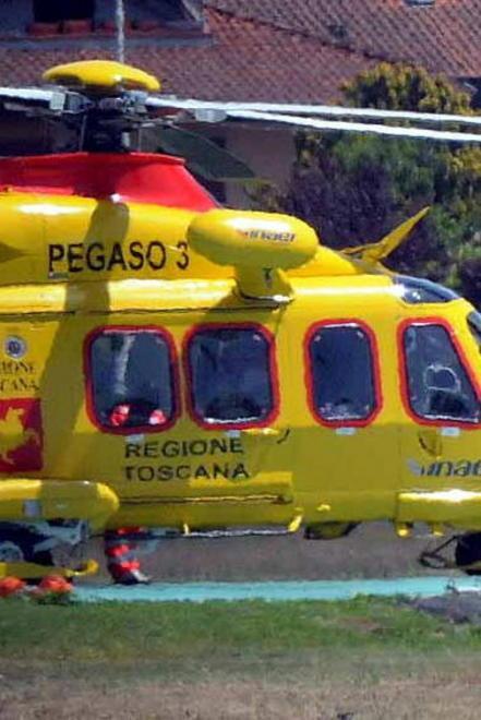 Tornano i cavalli vicino all’aeroporto e scoppia la polemica 