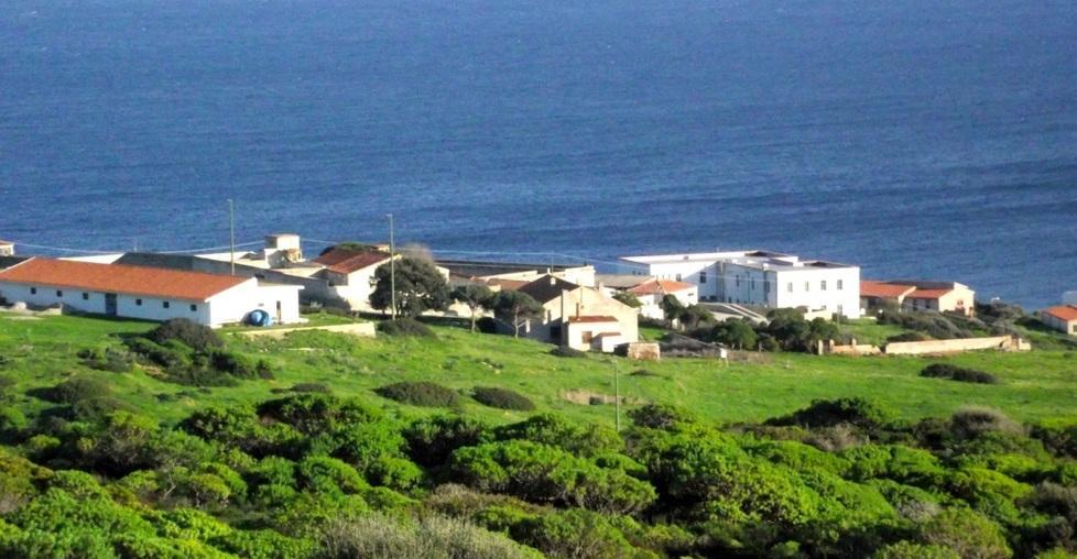 “Asinara aperta” tra arte, cultura, musica e gastronomia