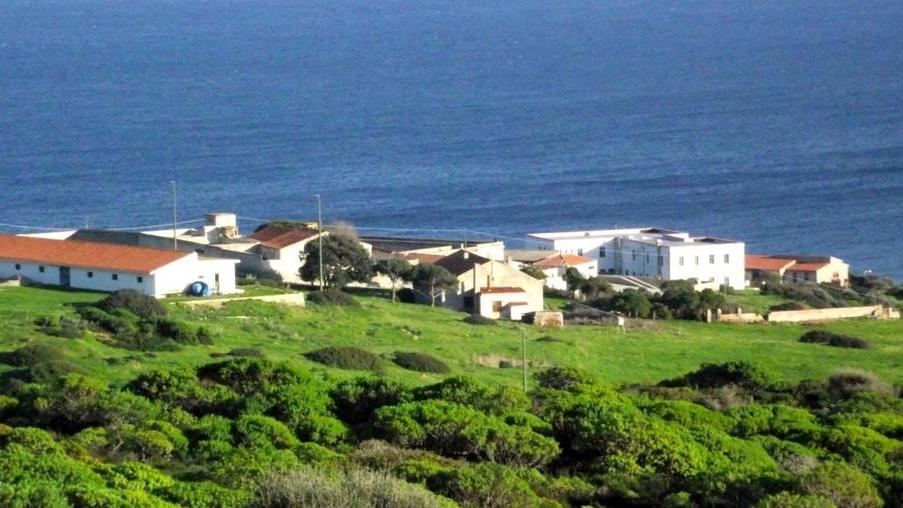 “Asinara aperta” tra arte, cultura, musica e gastronomia