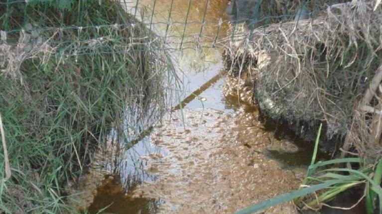 Guerro, Nizzola e Tiepido I 5 Stelle: «Tutti inquinati»